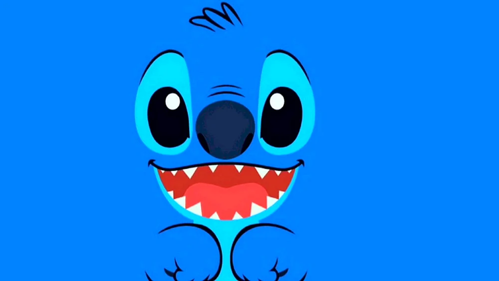 Stitch