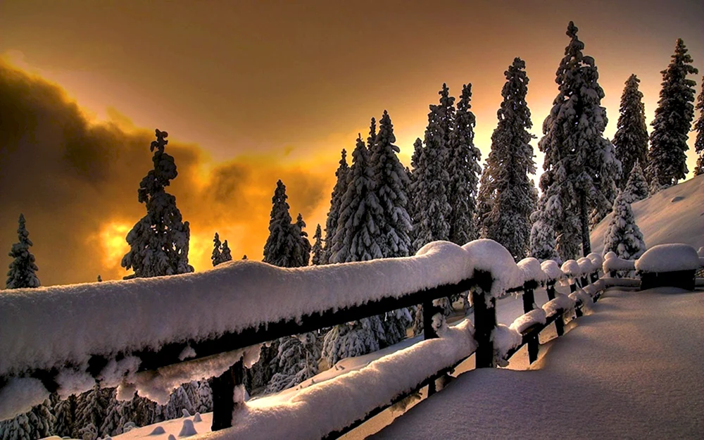 Wintertapete