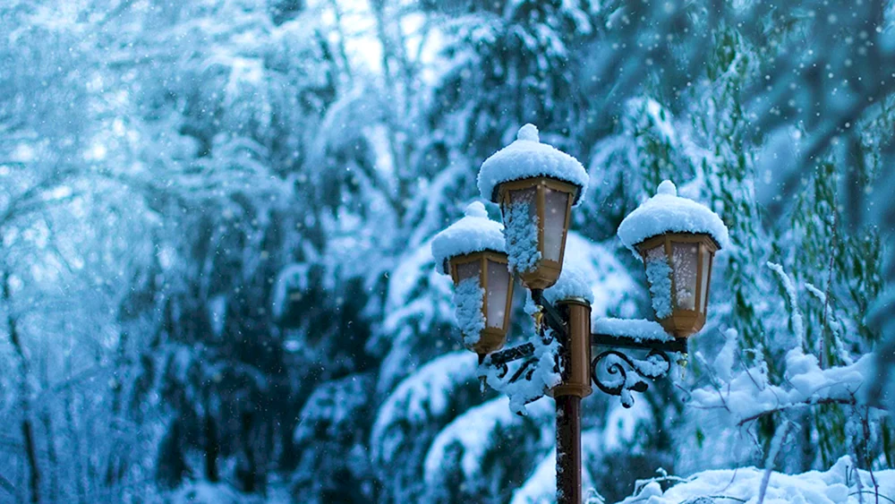 Wintertapete Winter