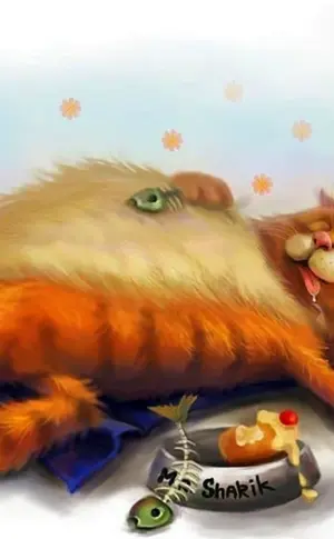 Gefräßige Katze