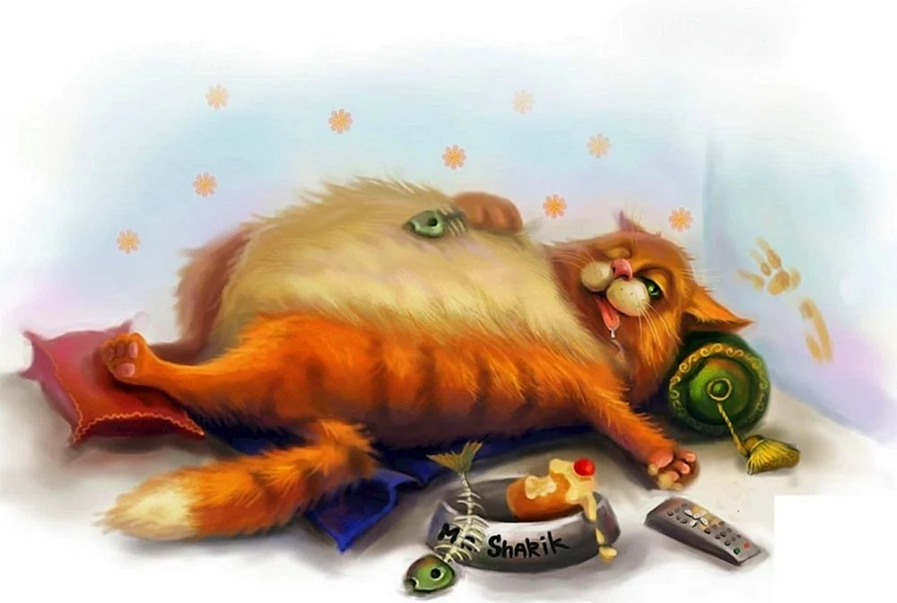Gefräßige Katze