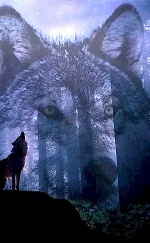 Einsamer Wolf