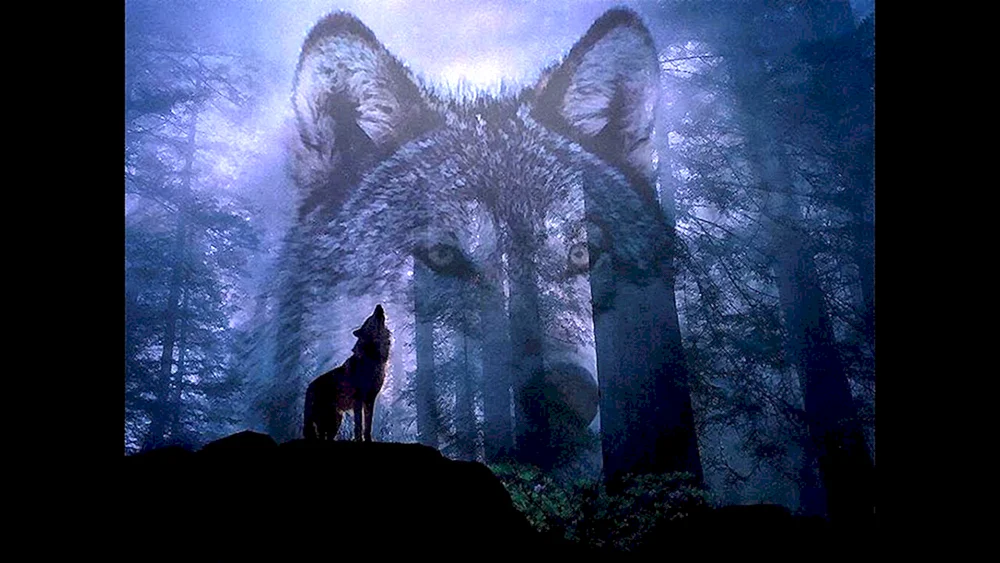 Einsamer Wolf