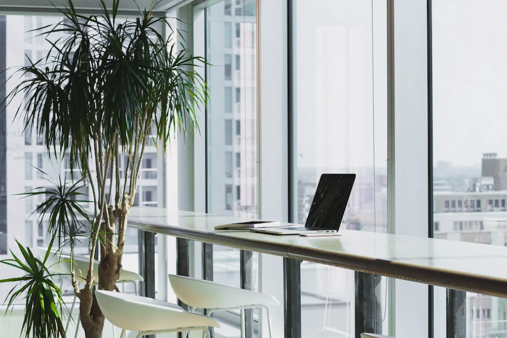 Das Büro mit Panoramafenstern