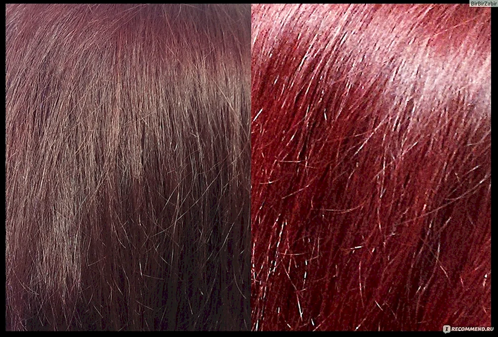 Natural Color fara Wild Cherry 327