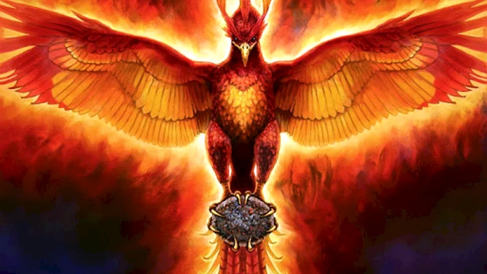 Phönix Wiedergeburt Phoenix Wiedergeburt
