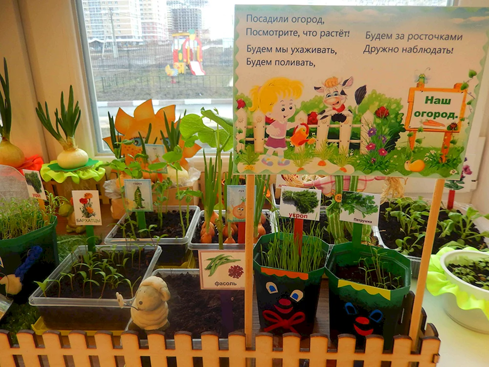 Banner für Ladengarten und Gemüsegarten