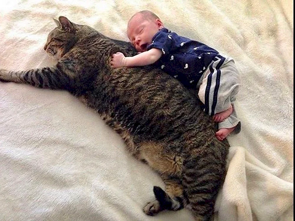 Tierfoto