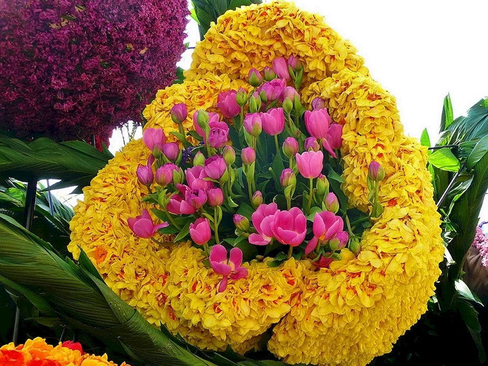 Floral Garden Dubay