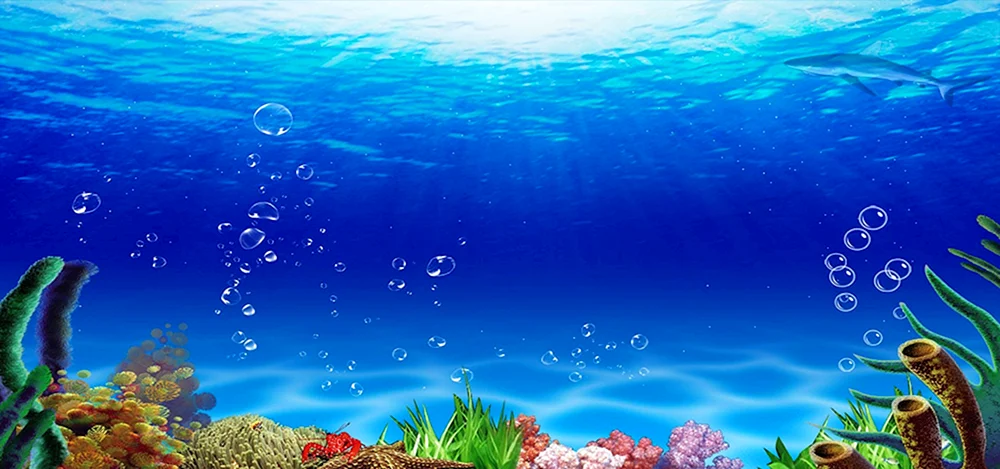 Aquarienhintergrund Barbus