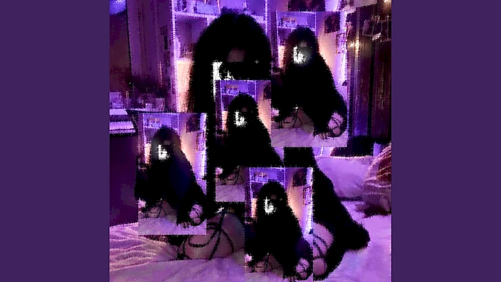 OKIDOOKY 2020