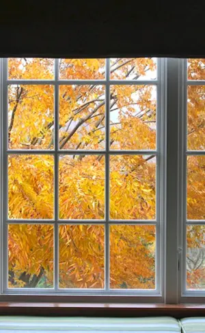 Herbstfenster
