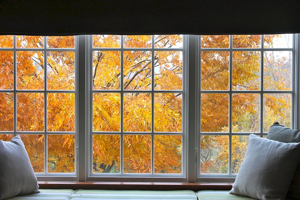 Herbstfenster
