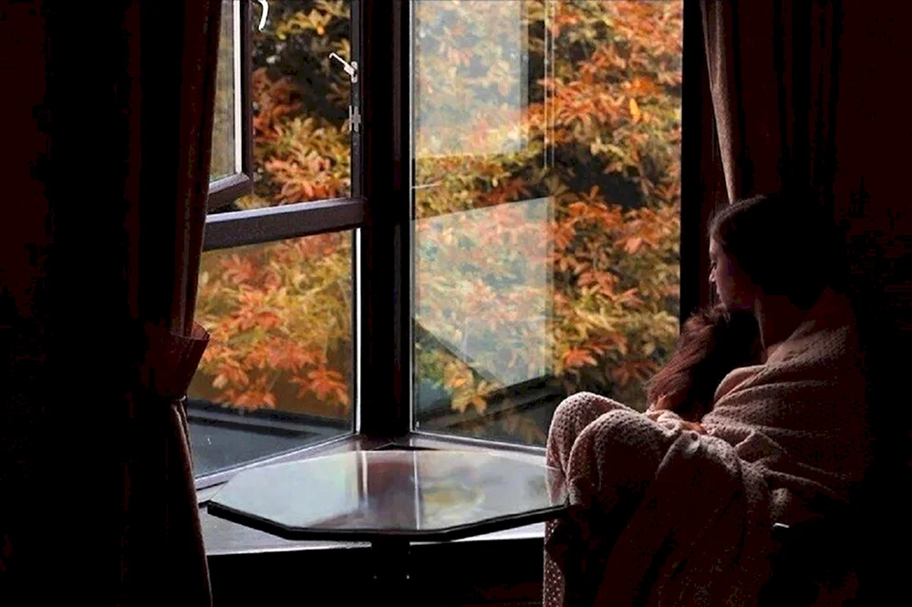 Aus dem Fenster Regen