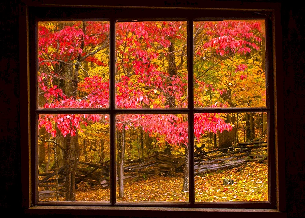 Herbstfenster