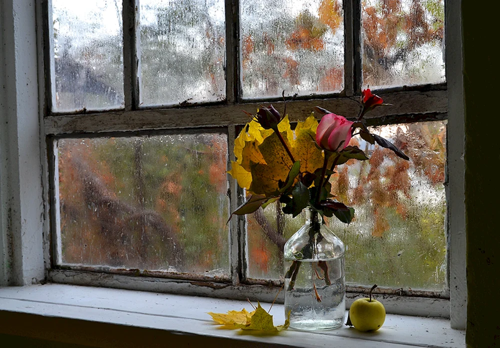 Herbstfenster