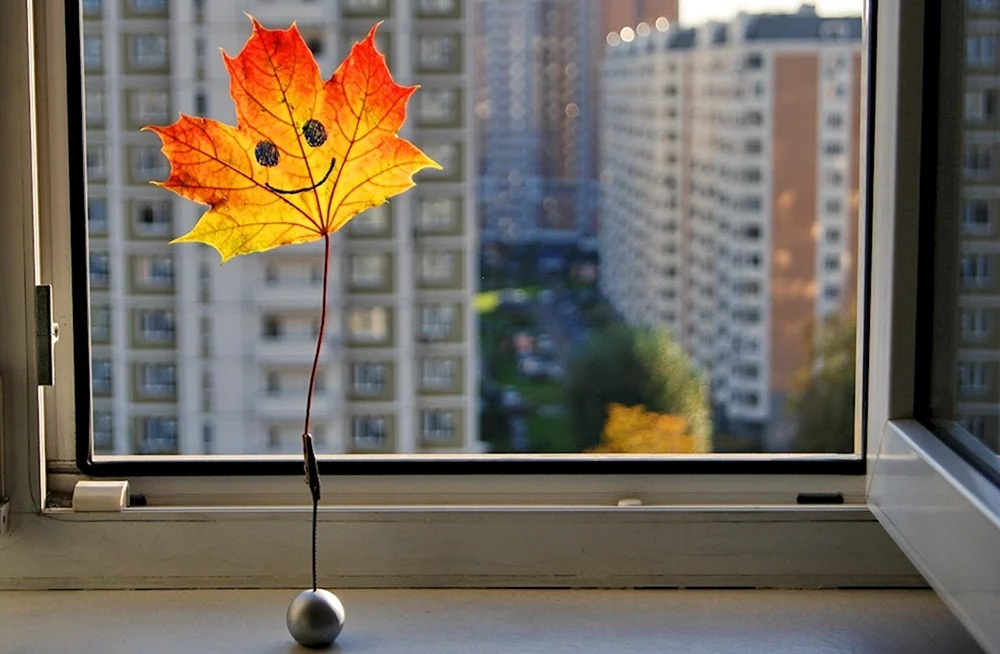 Herbst aus dem Fenster
