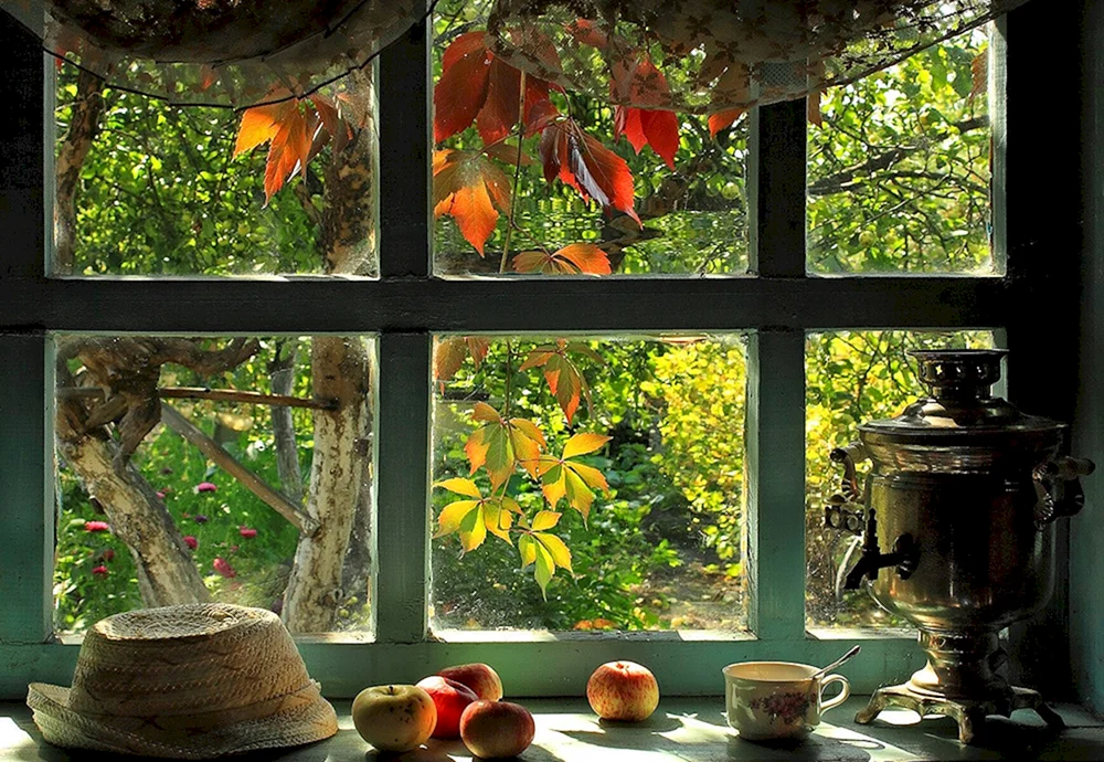 Herbst aus dem Fenster
