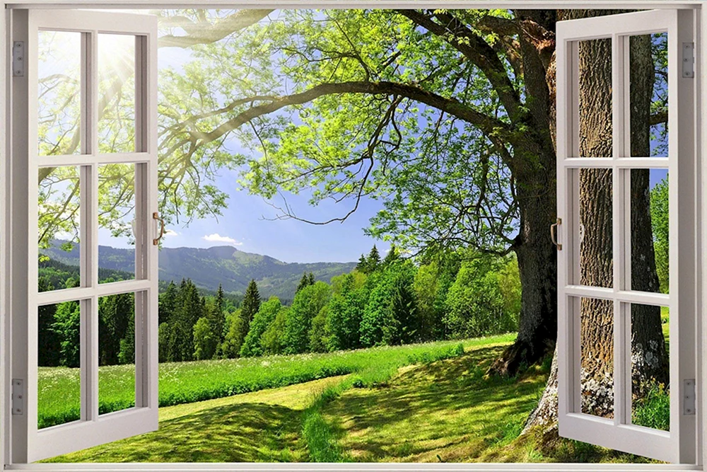 Bodenfenster in die Natur