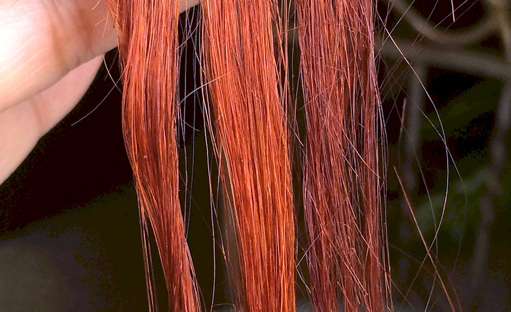 Kupfer Henna färben Haare