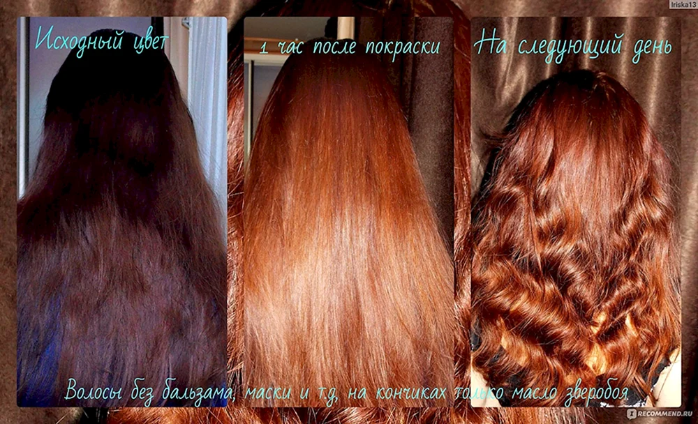 Hnna für blondes Haar