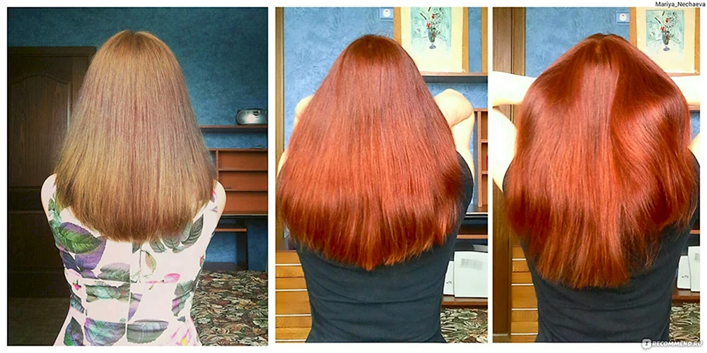 Henna für Haare
