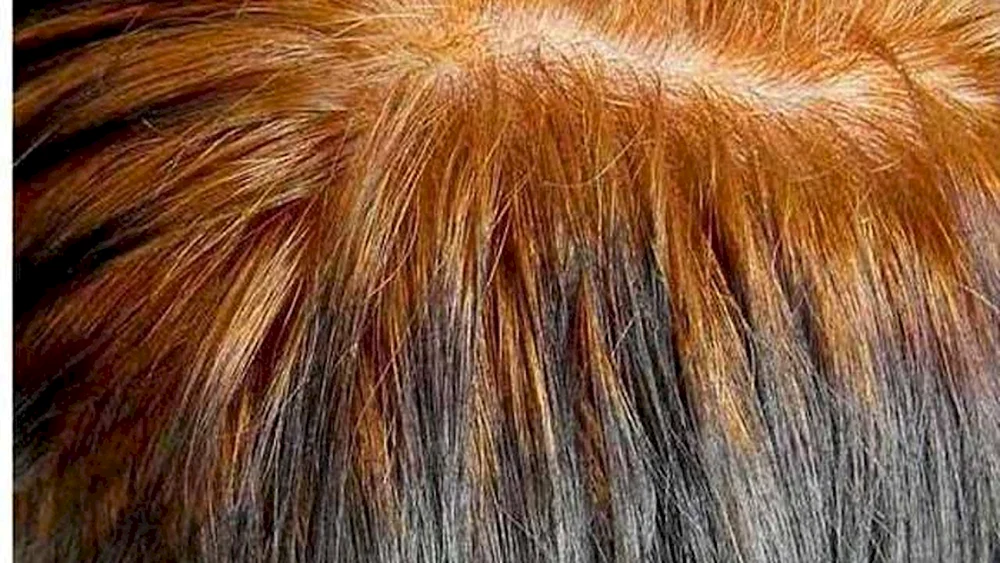 Nagel Henna Haare färben für graue Haare