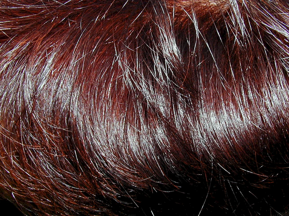 Basma und graues Haar
