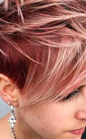 Färbung Pixie Bob 2022