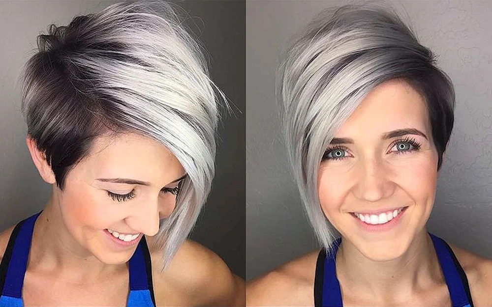 Pixie Bob. 2022