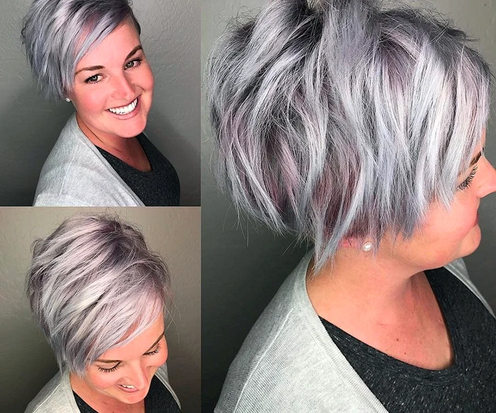 Pixie Bob 2022