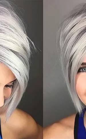 Pixie Bob Färbung 2022
