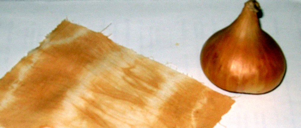 Zwiebelschalen für Haare. Haare