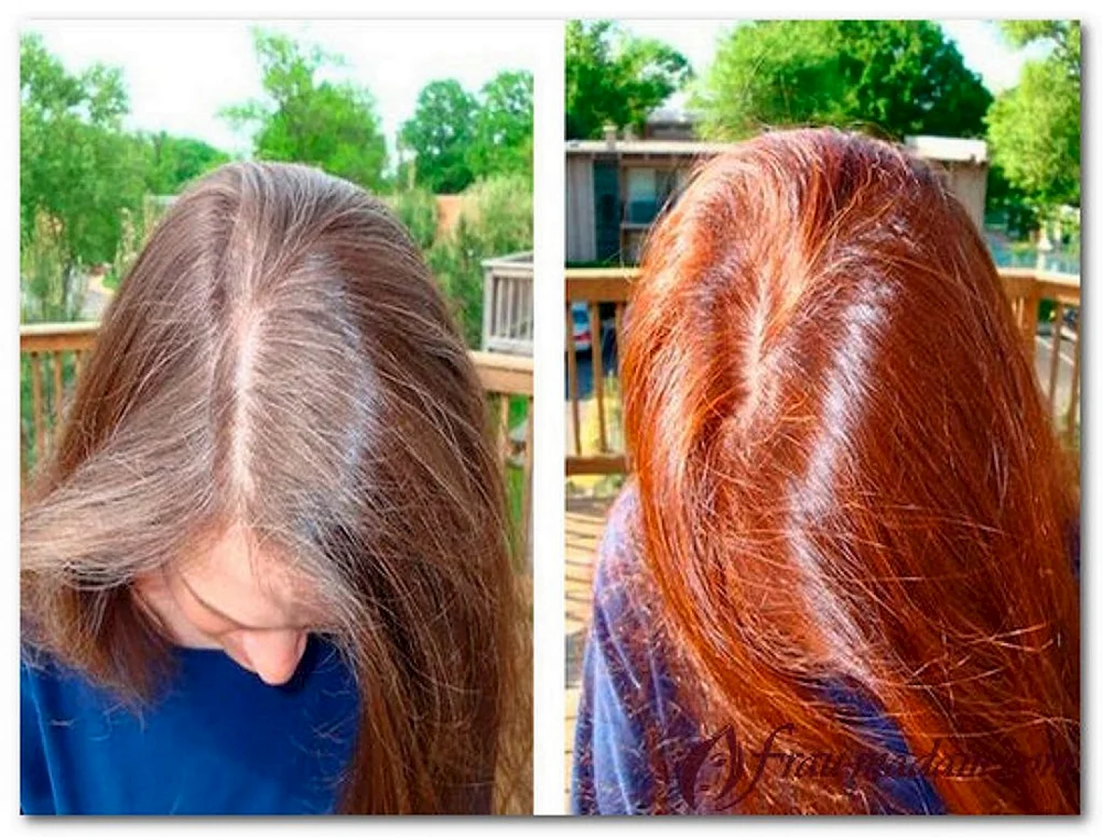 Haarfärbung für graues Haar