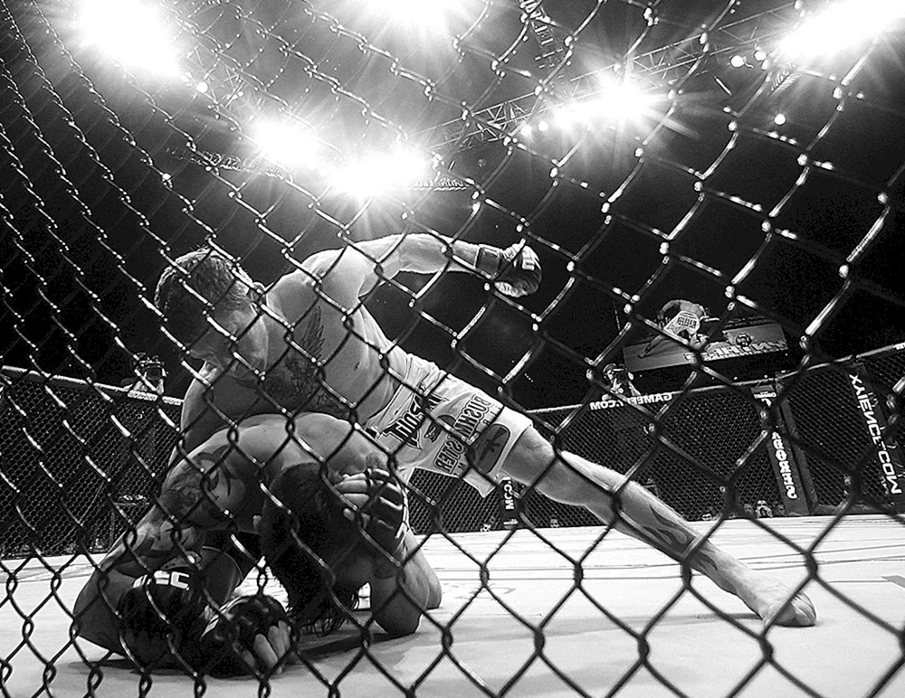 UFC Tapete