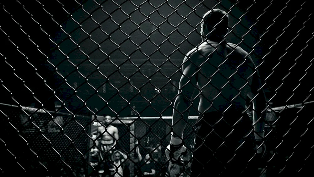 MGM Grand Boxring MGM Grand Boxring MMA-Boxring MMA-Boxring MMA-Boxring MMA-Boxring MMA-Boxkäfig MMA-Boxhandschuhe. im Ring