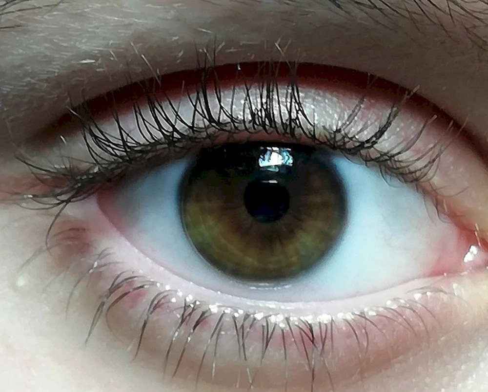 Braune braune Augen