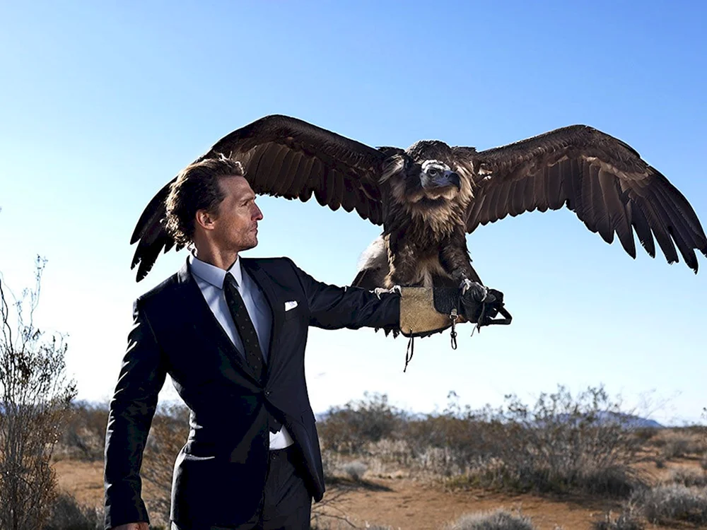 Adler Mann