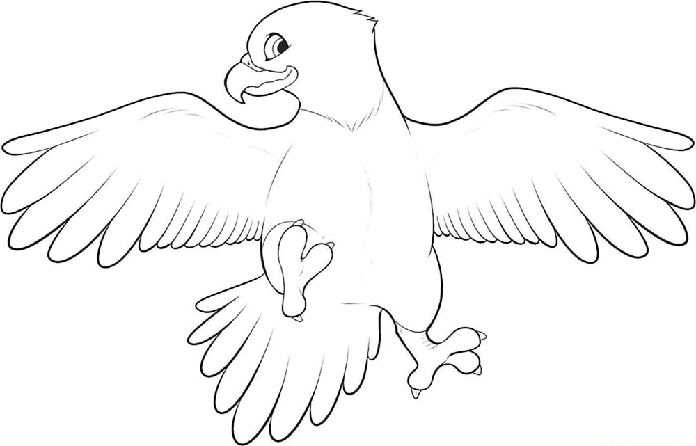 Adler Bleistiftzeichnung