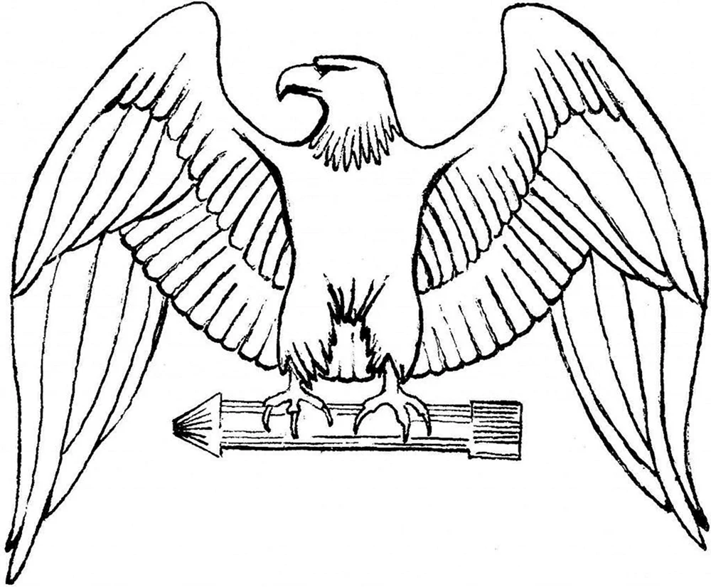Adler Ausmalen