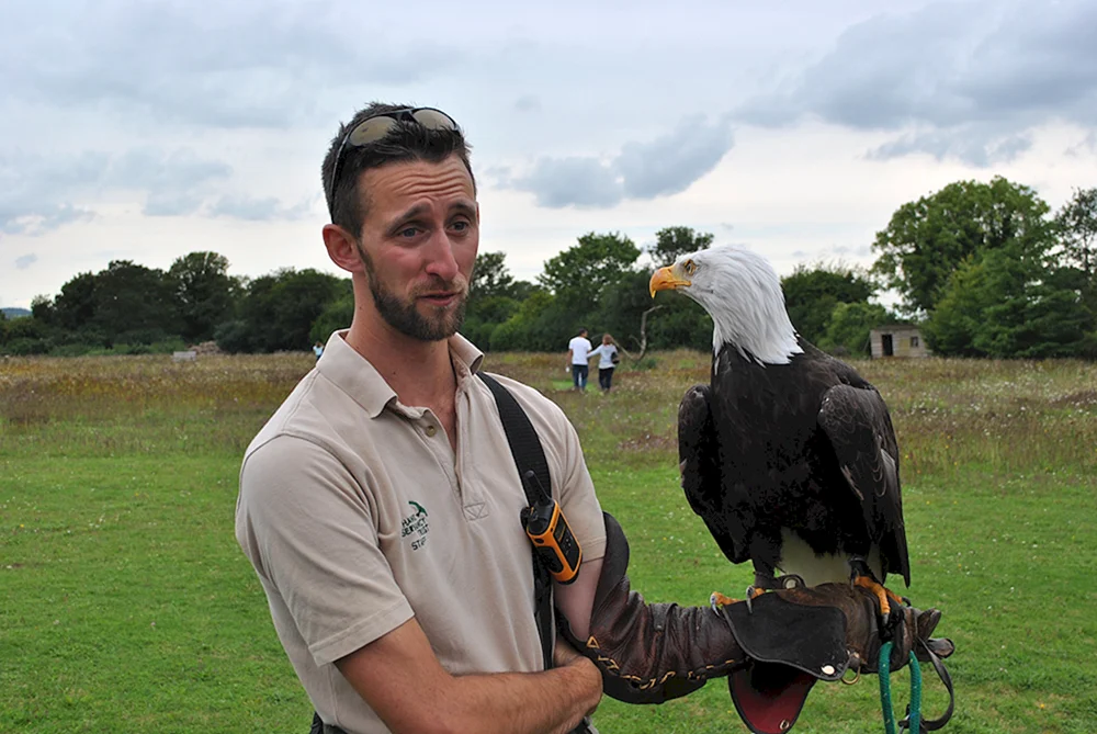 Adler und Mann