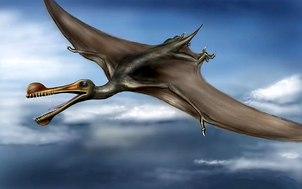 Ornithocheirus