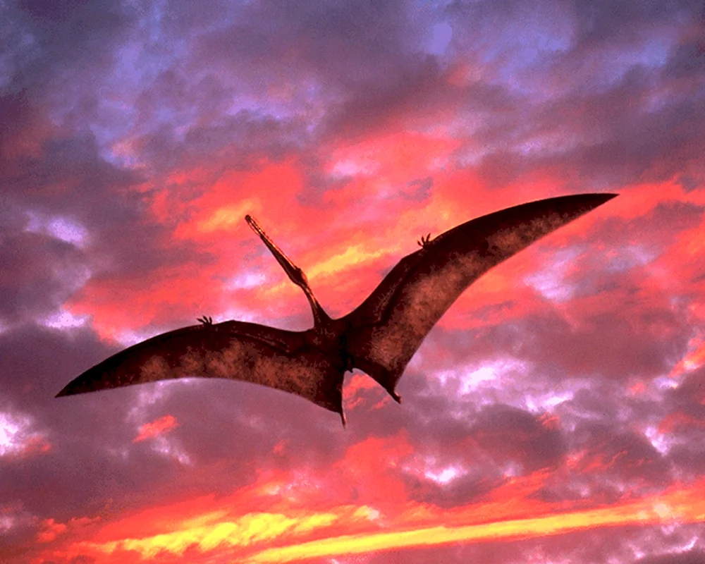 Pteranodon Burian