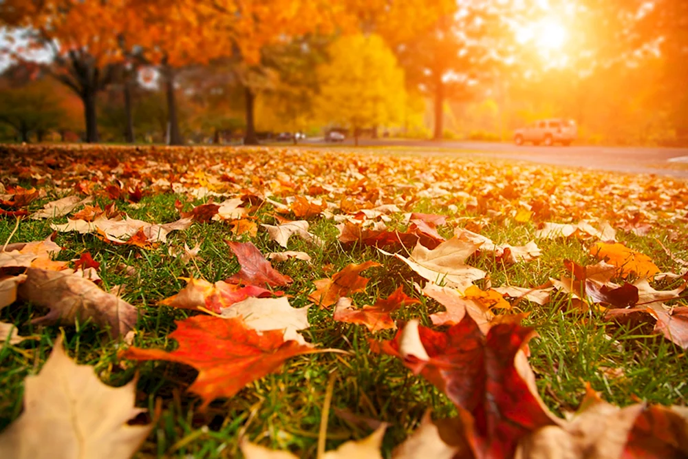Herbst