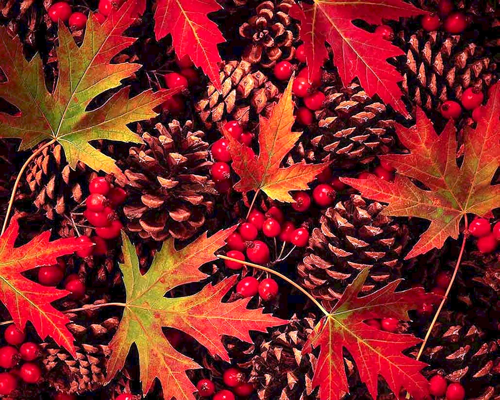 Herbst