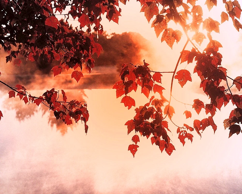 Herbst