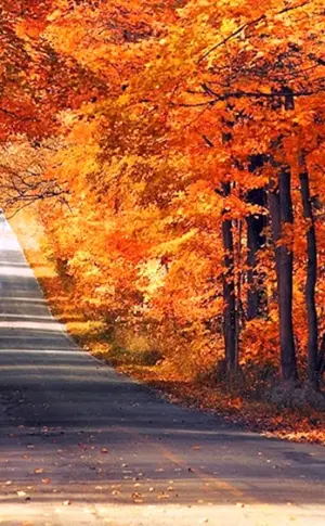 Herbst