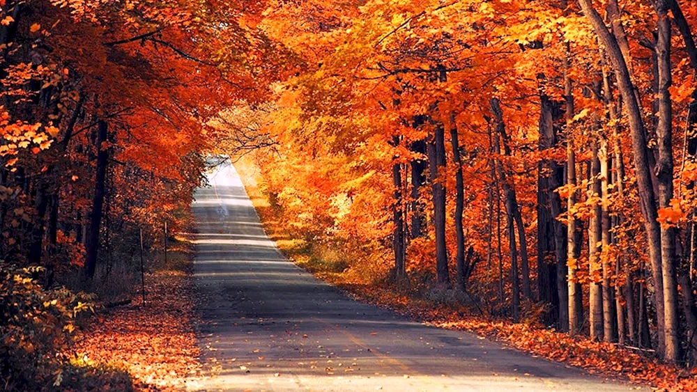Herbst