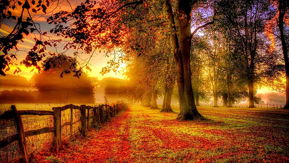Herbst