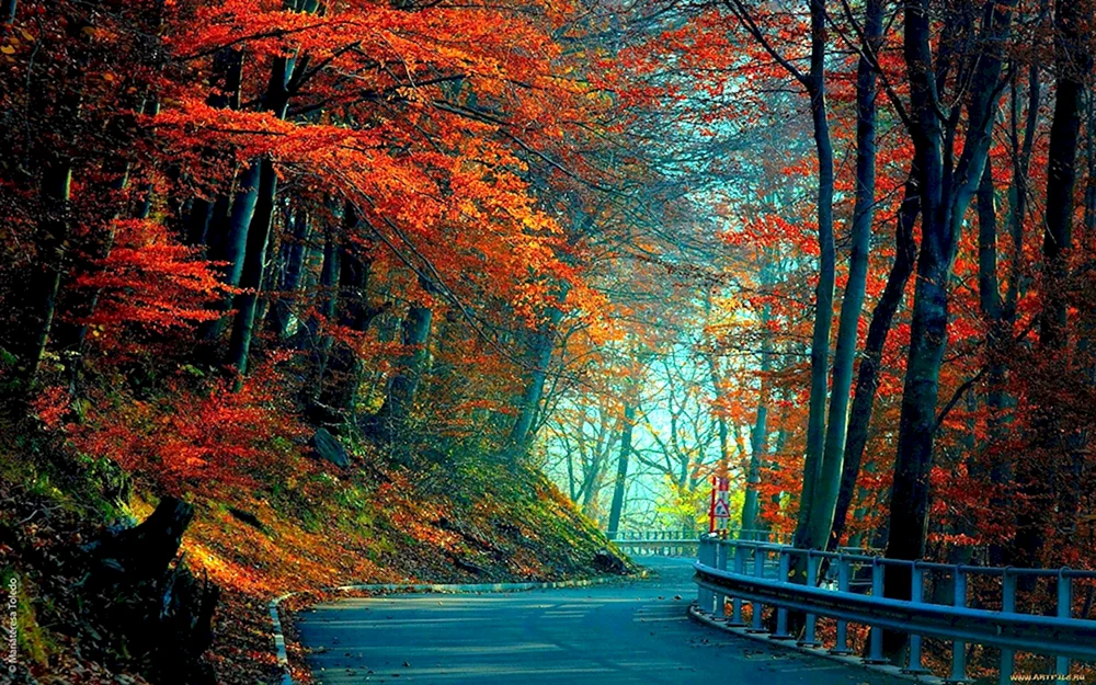 Herbst HD